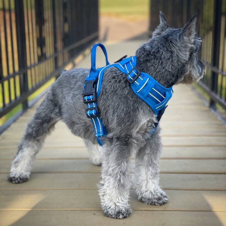 Doggie Design – Engroshandel Kæledyrssele – Hund – Venture Paw hundesele - Mountain Lake2