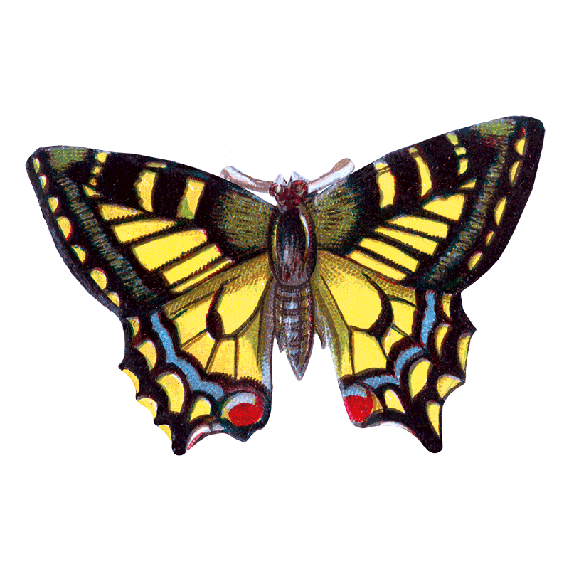 Laughing Elephant – Großhandel Aufkleber – Butterfly Box — Stickerbox für den täglichen Gebrauch19