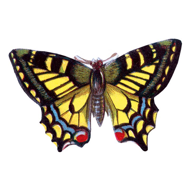 Laughing Elephant - Wholesale Sticker - Butterfly Box - Everyday Sticker Box19