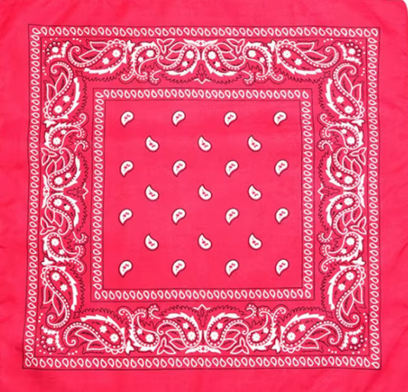 HoopLa - Wholesale Bandana - Women's - Bandana- 22" X 22"  100% Cotton Square Bandana Scarf3