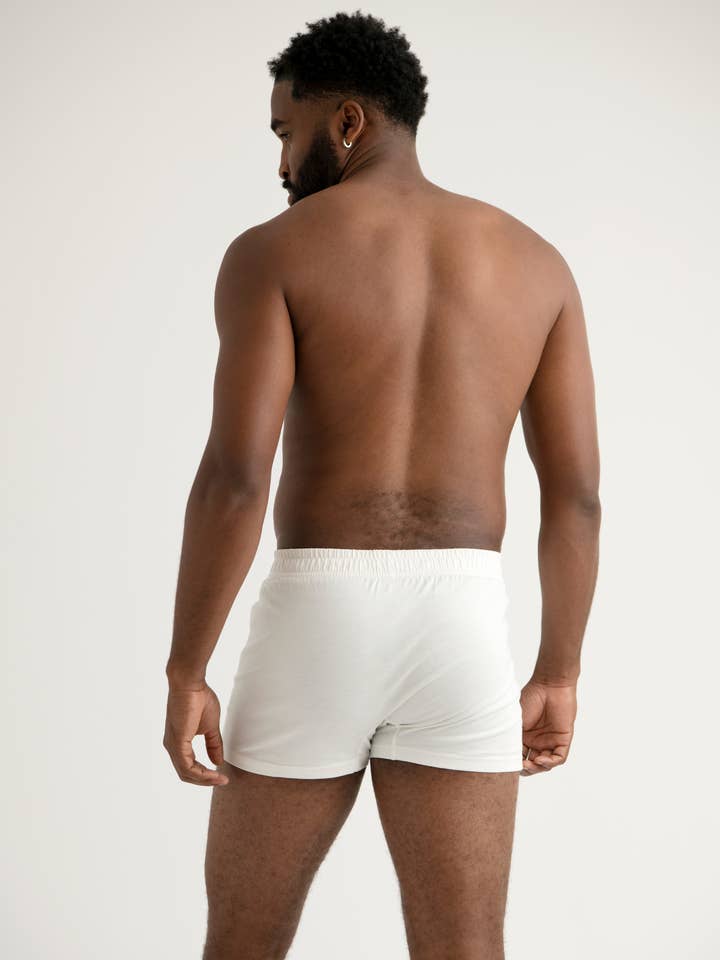 KENT - Wholesale Underwear – Men's - Men's Organic Cotton “Breather" Brief (synthetic-free)2