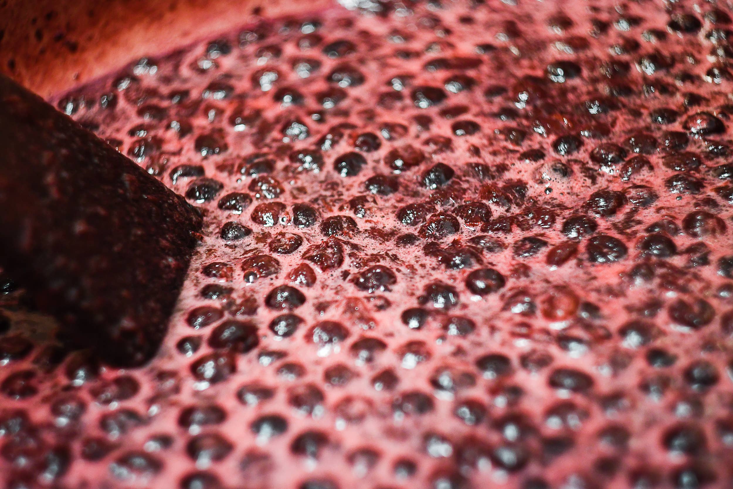 La Cour d'Orgères – wholesale Jam/jelly – Sour cherry jam 250g1