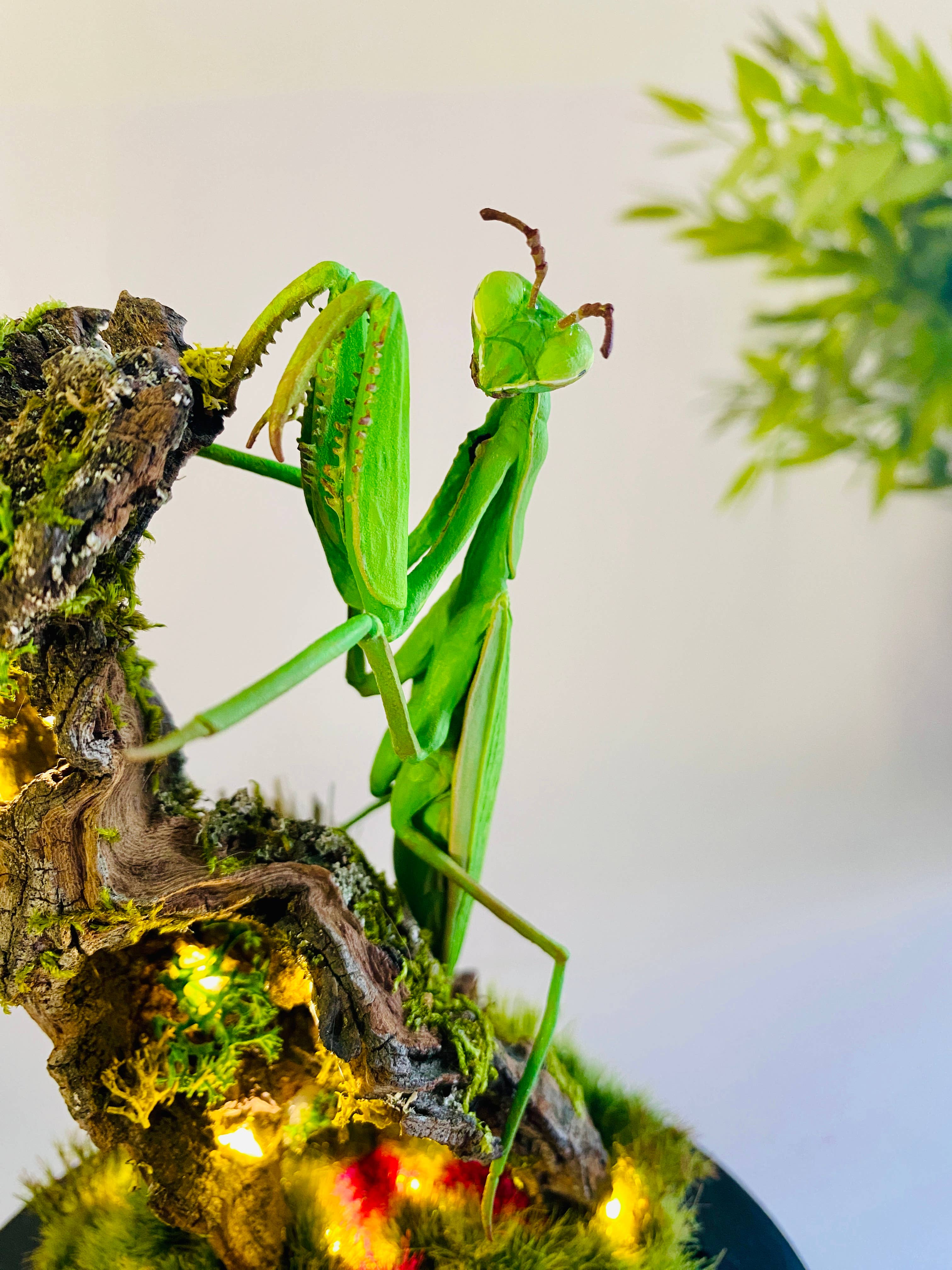 Thingx - Wholesale Decorative Tabletop Object - The praying mantis, curiosity under a glass dome8
