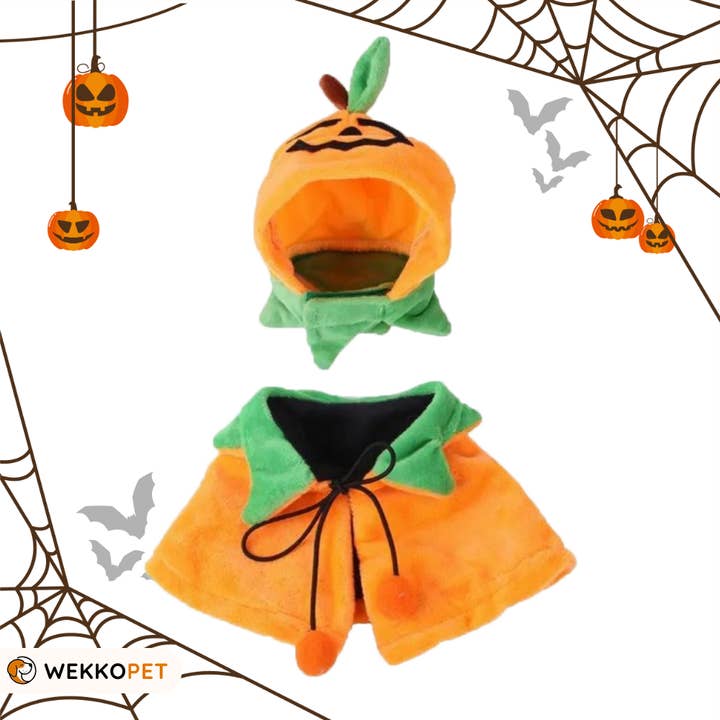 Hat Scarf Costume (SINGLE) Halloween for wholesale by WEKKOPET