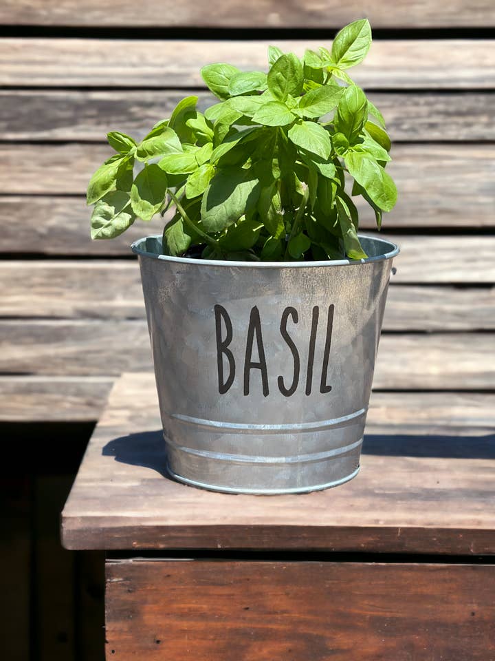 Bac à herbes Basil Farmhouse pour la vente par The Savvy Spade