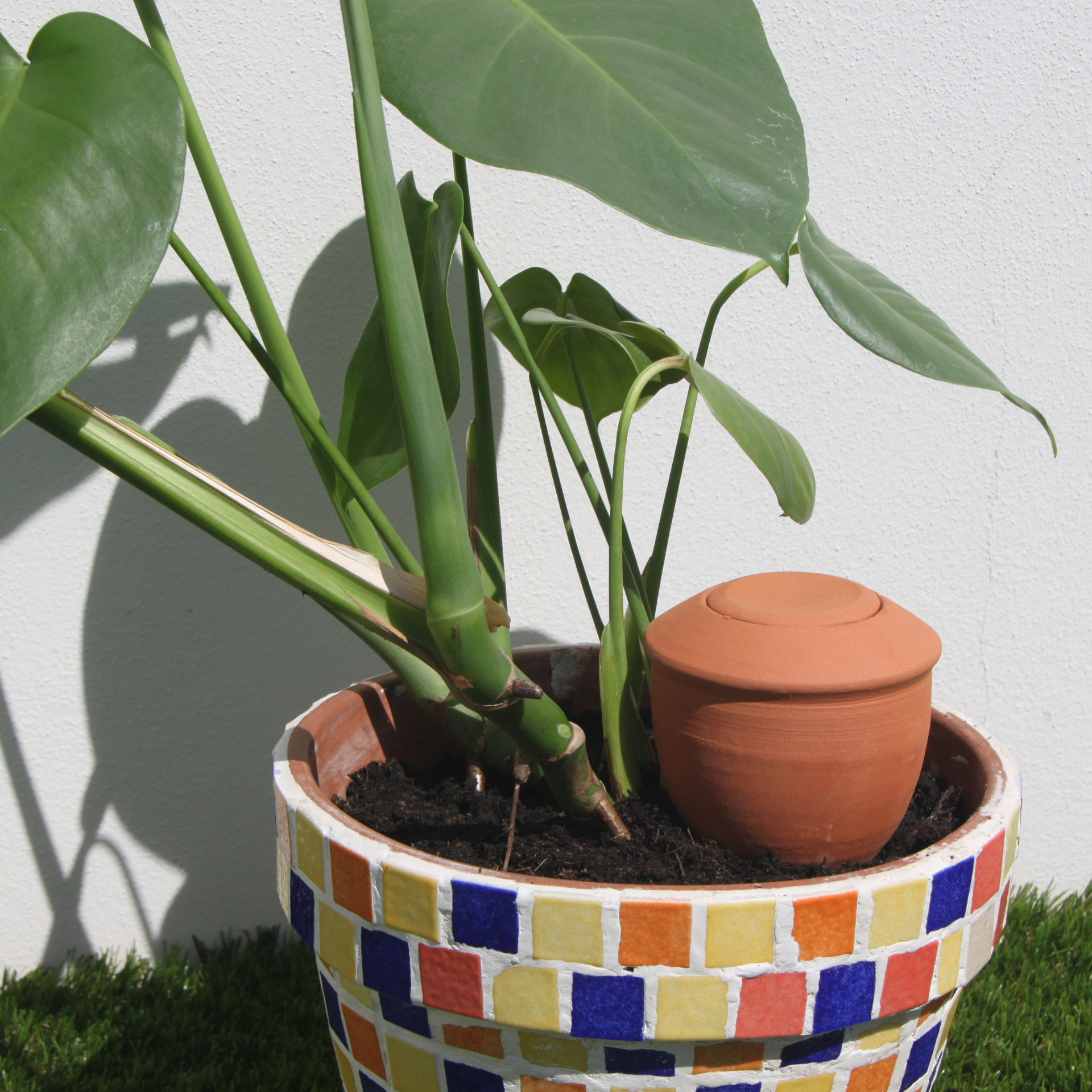 Poterie lutton - Wholesale Watering Can - Ollas Bolet11