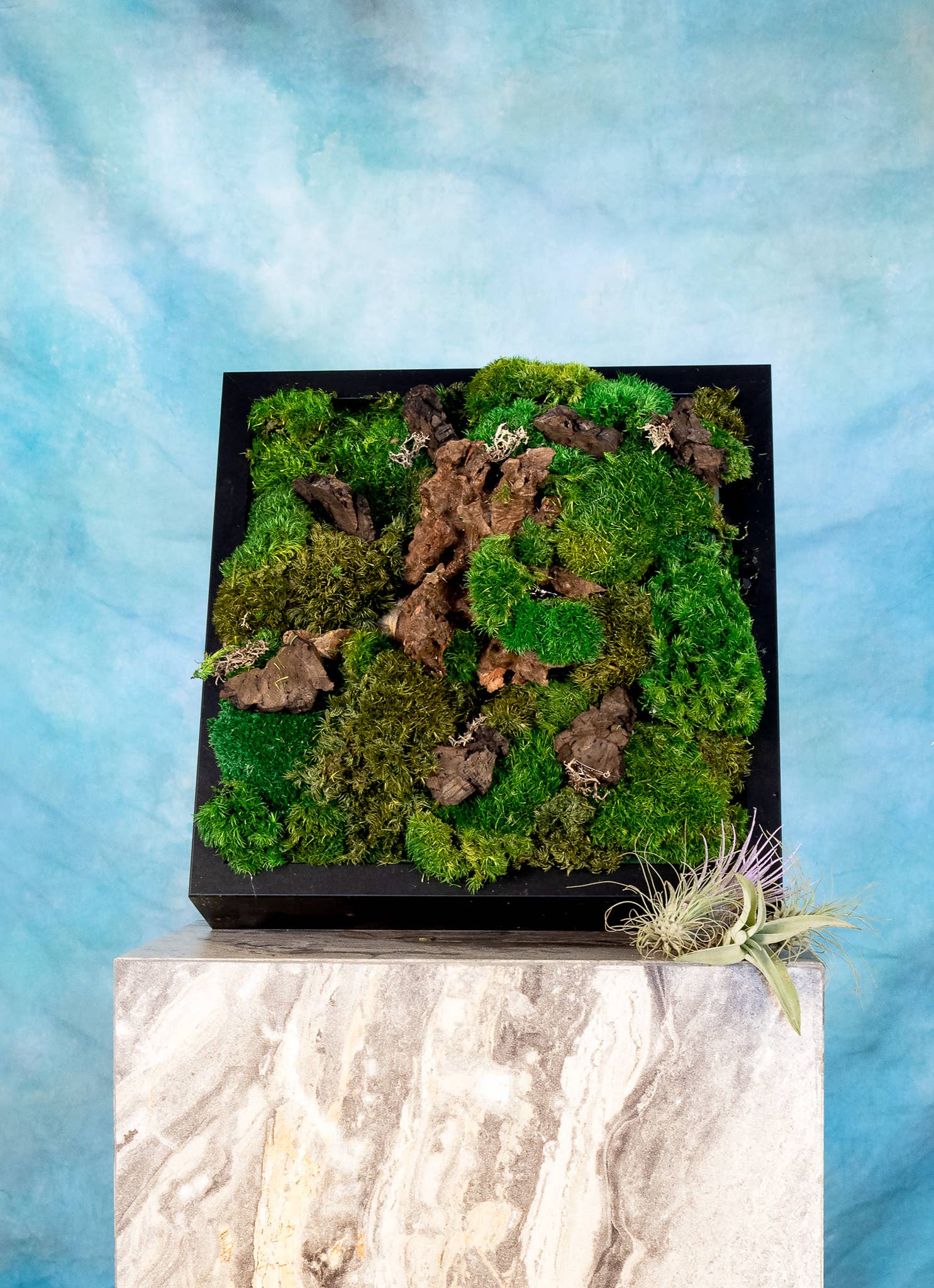 TERRART NYC - Wholesale Wall Planter - Moss Heaven - Moss Wall10