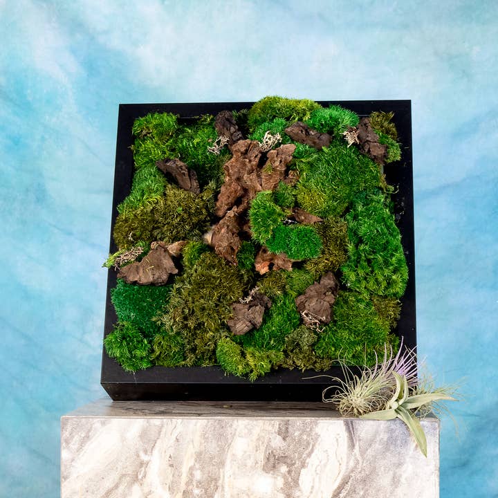 TERRART NYC - Wholesale Wall Planter - Moss Heaven - Moss Wall10