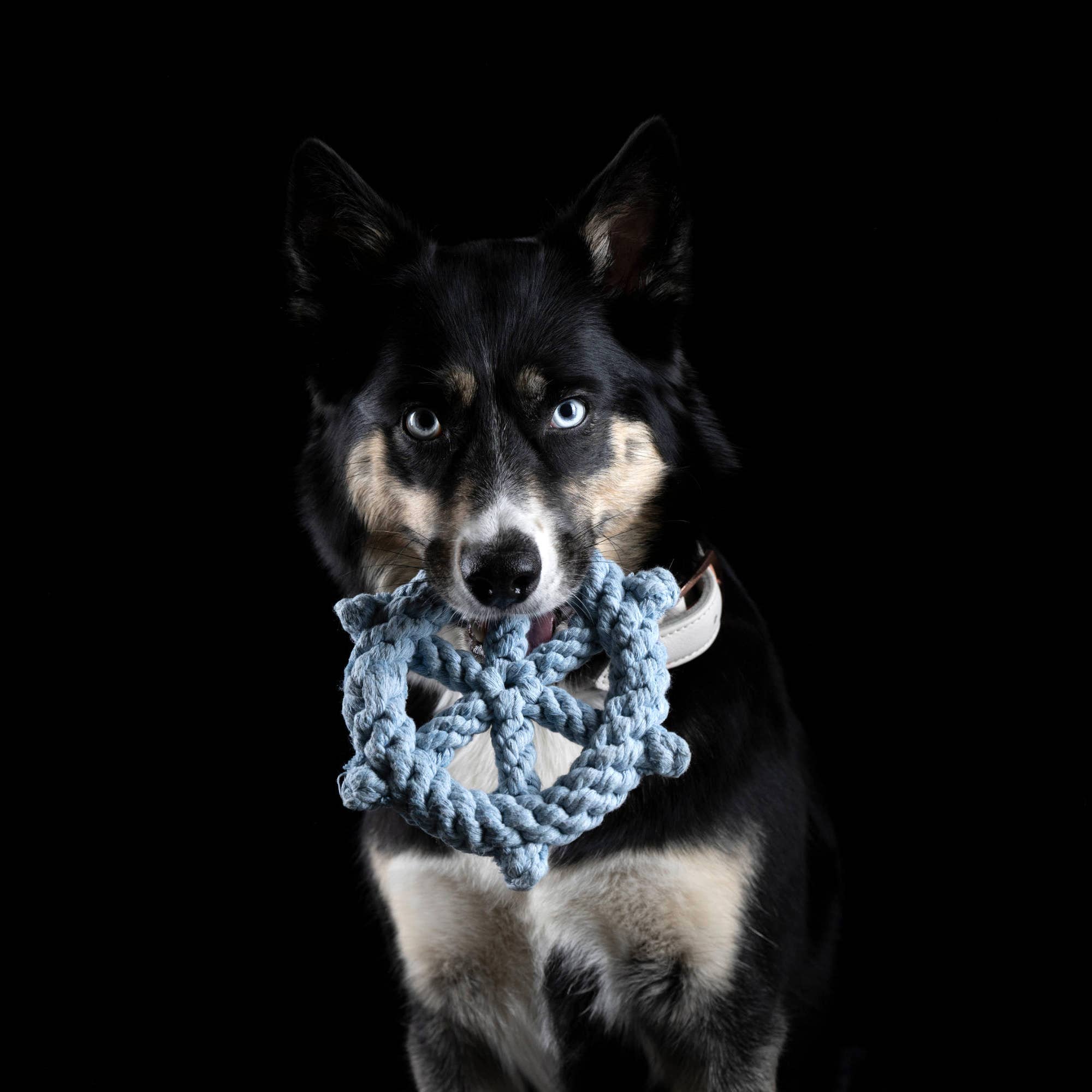 LABONI - Volentis GmbH - Wholesale Pet Rope Toy - Dog - SKIPPER – A Fresh Breeze of Fun8