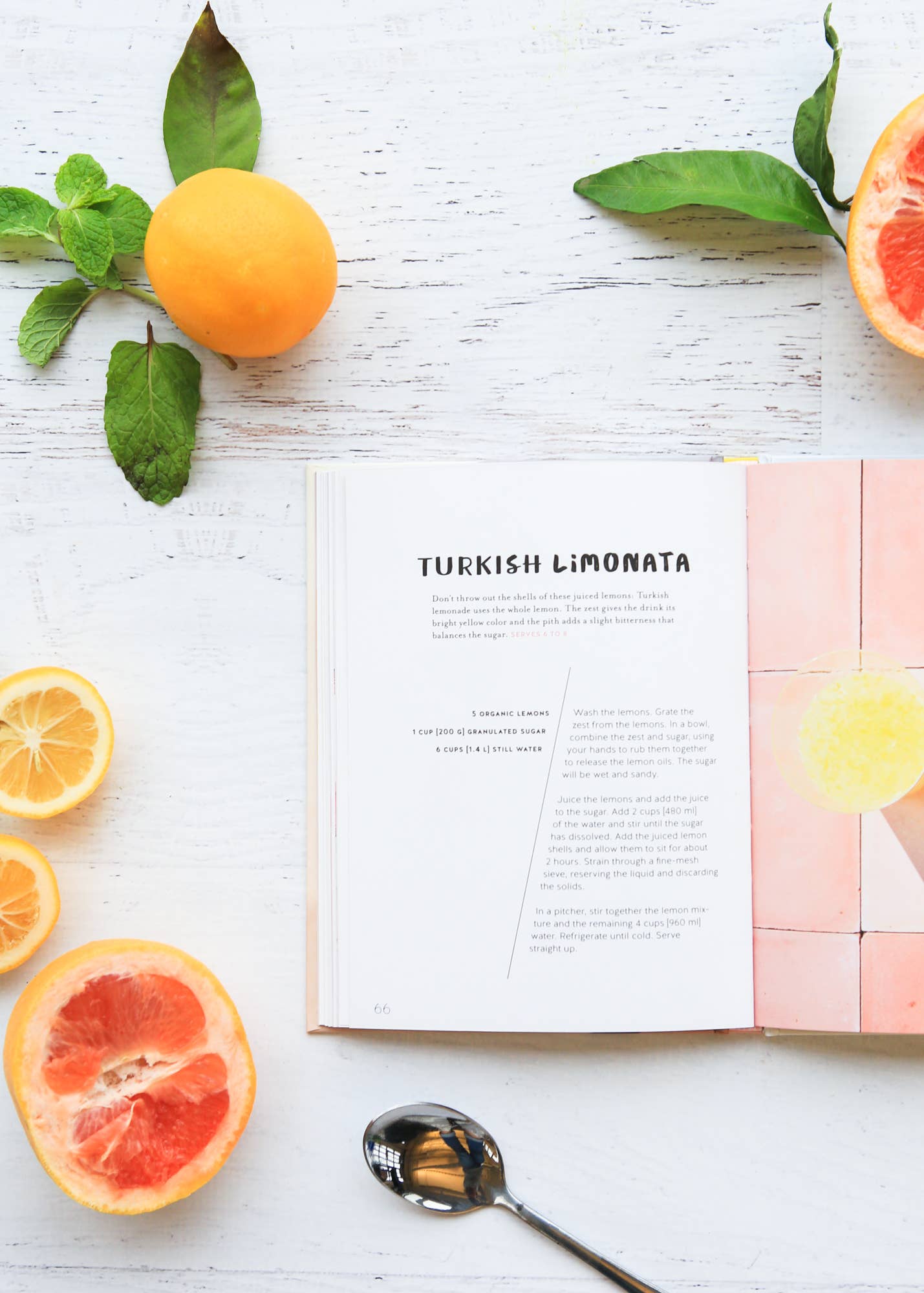 Chronicle Books - Wholesale Mixology & Beverage - Lemonade with Zest4