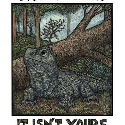 Ricardo Levins Morales Art Studio - Wholesale Stationery/Notecard Set - Conscious Critters Card Pack - Set of 125