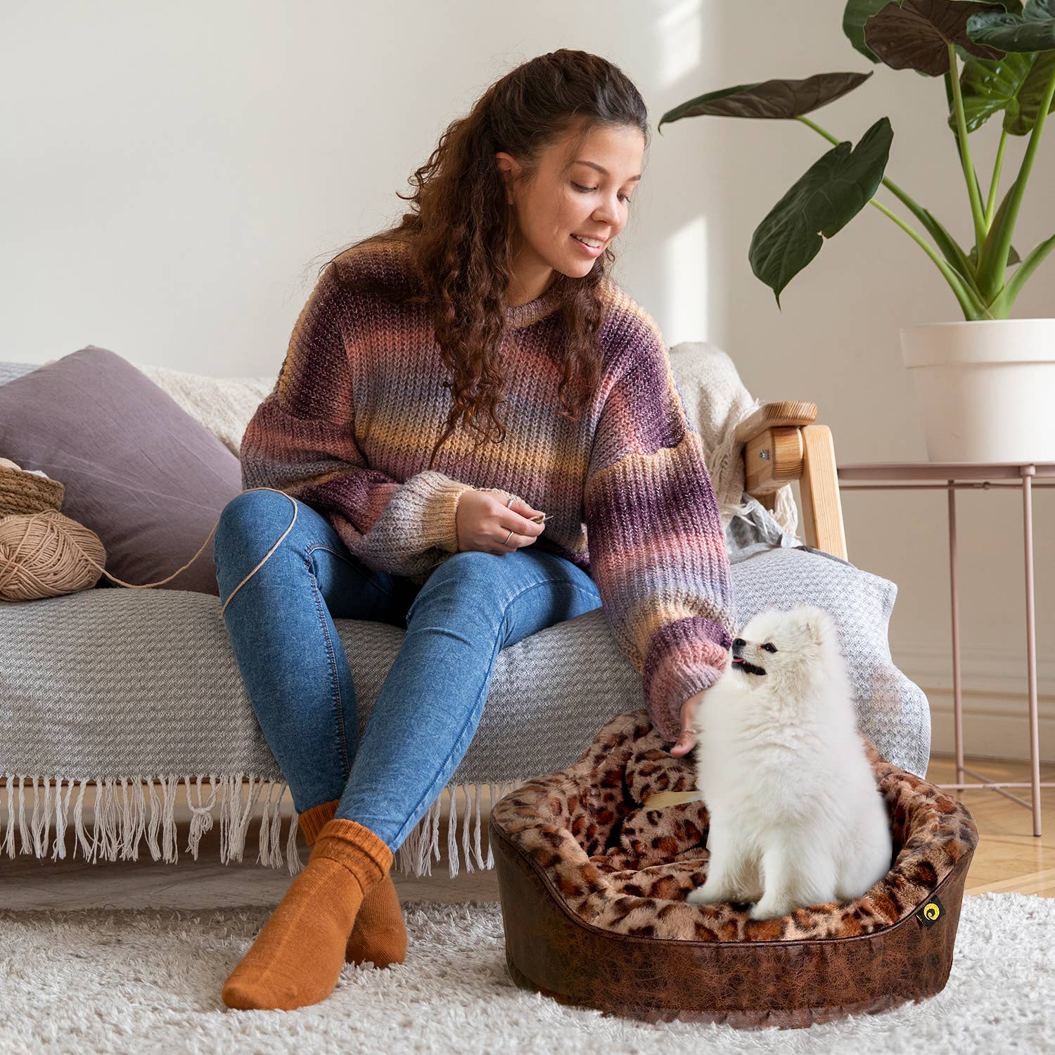 Precious Tails - Wholesale Pet Bed - Cat/Dog - Precious Tails Leopard Princess Bed2