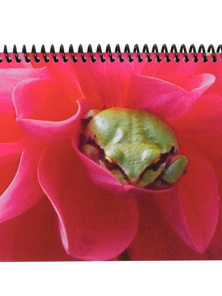 The Superior Check and Debit Card Register - Froggy for wholesale by The Superior Register