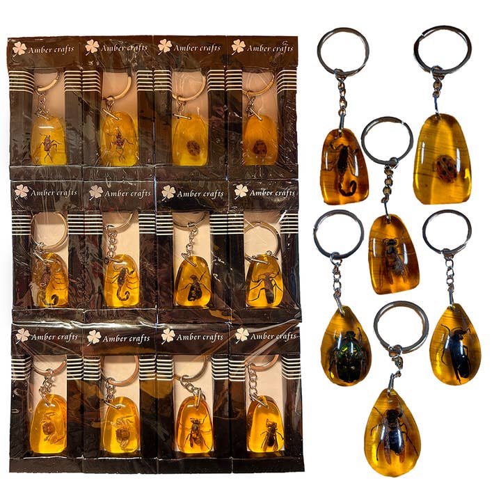 Insetti in ambra, portachiavi con insetti naturali in confezioni per la vendita al dettaglio per la vendita all'ingrosso da parte di Texas Toy Distribution