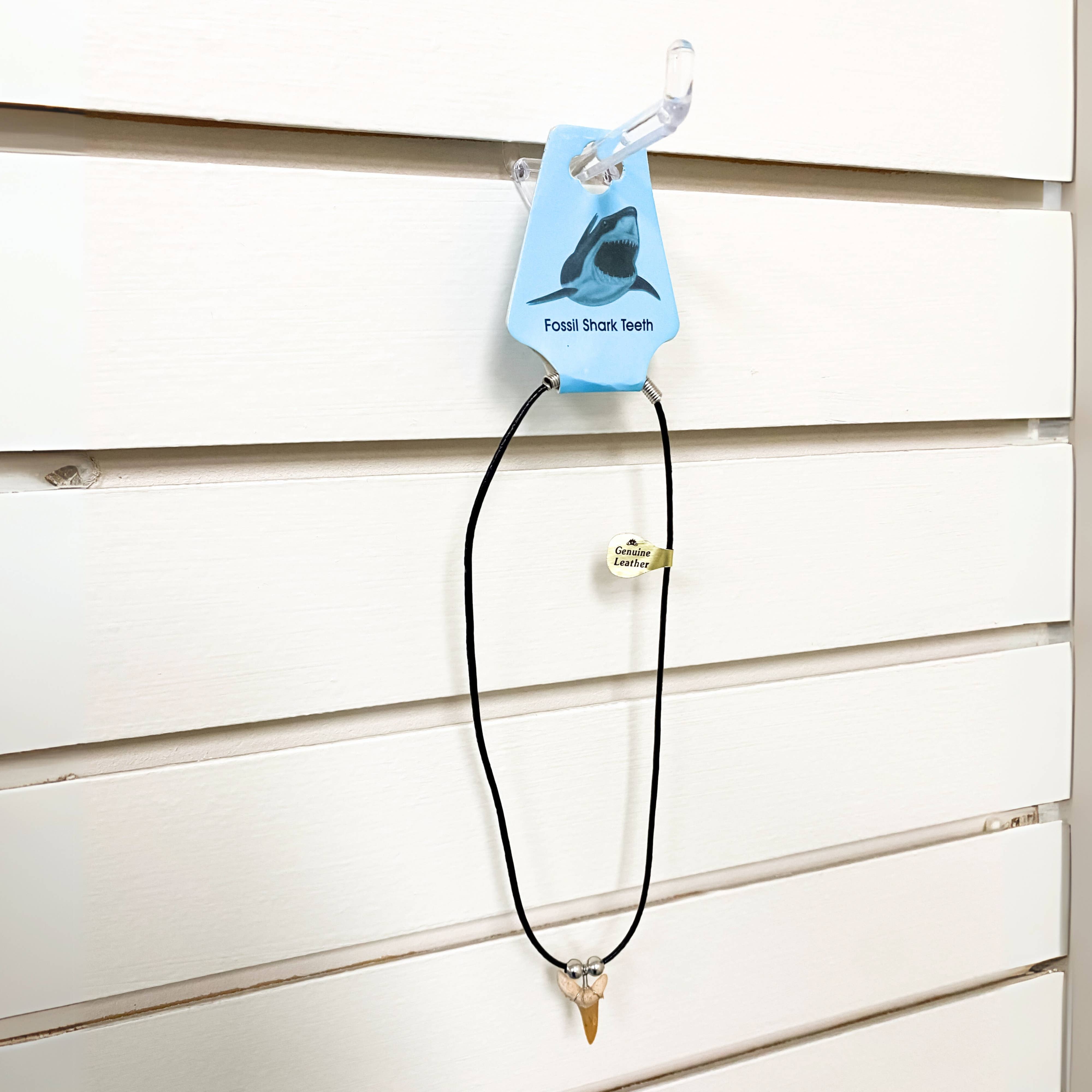 Natalia - Wholesale Pendant/Charm Necklace - Shark Tooth Necklace - Fossil Sharks Teeth with Leather Cord24