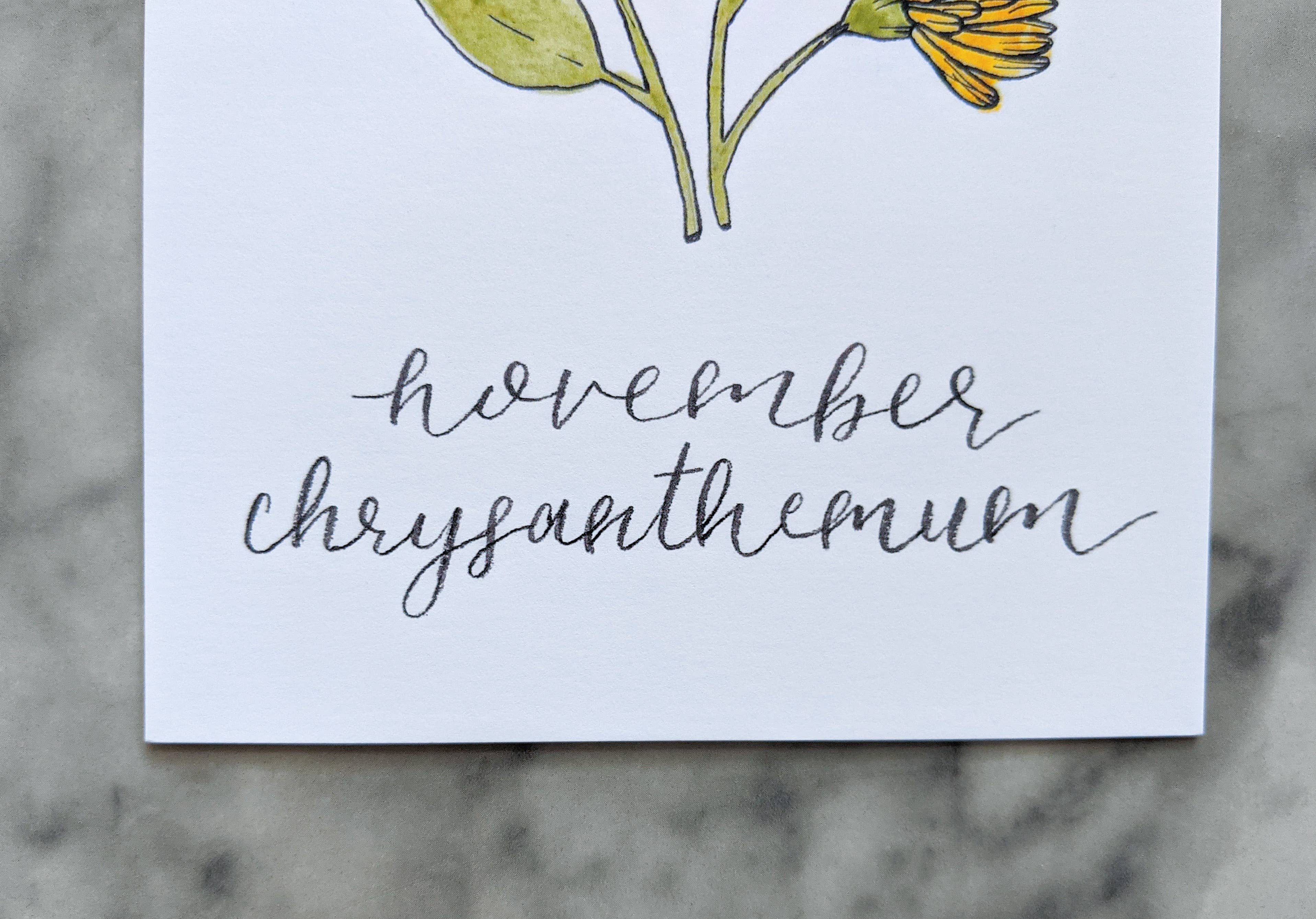 Kallos Ink - Wholesale Art Print - Birth Month Flower Print: November, the Chrysanthemum5