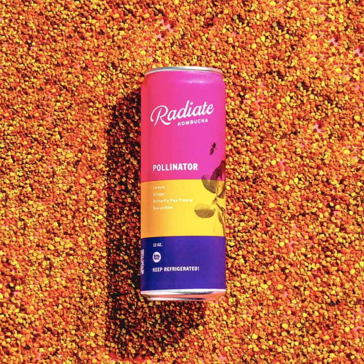 Pollinator Kombucha for wholesale by RADIATE MIAMI