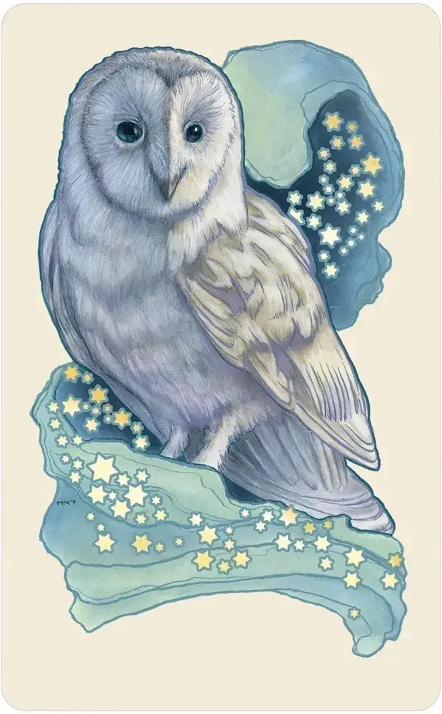 U.S. Games Systems Inc. - Vente Cartes de tarot - Dreamscape Oracle - Jeu d'oracle avec guide de 80 pages8