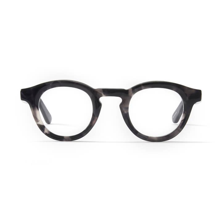 Tortue grise Jude pour la vente par French Kiwis