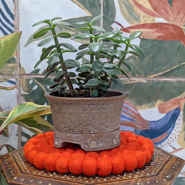 Cool Trade Winds - Wholesale Placemat - Fun Felt Wool Ball Placemat / Trivet6