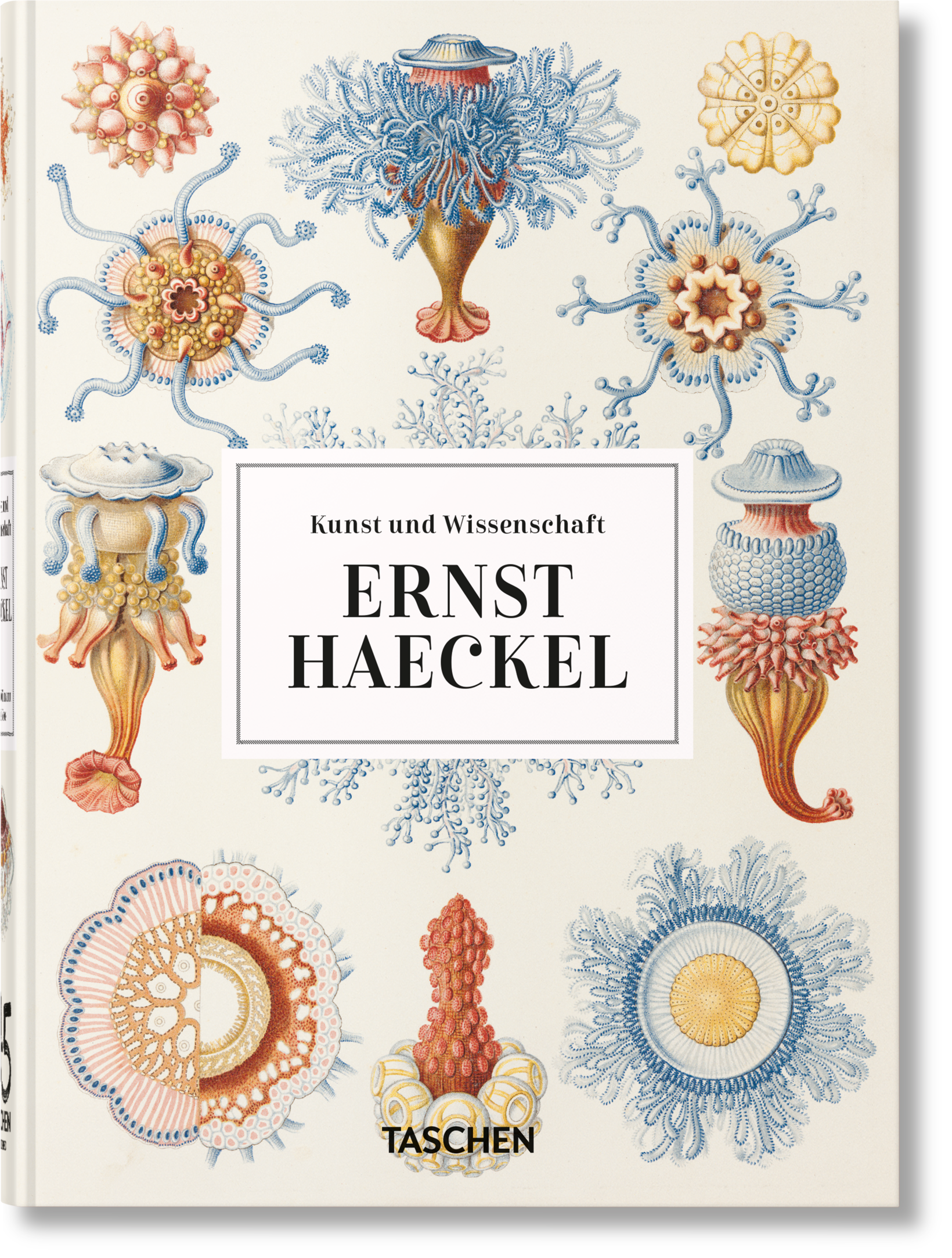 TASCHEN Europe – wholesale Visningsbok – Ernst Haeckel. Konst och vetenskap. 45:e upplagan. (Tyska)0
