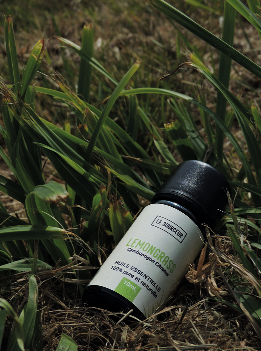 Le Sourceur – Óleo essencial por atacado – ÓLEO ESSENCIAL DE CAPIM-LIMÃO1