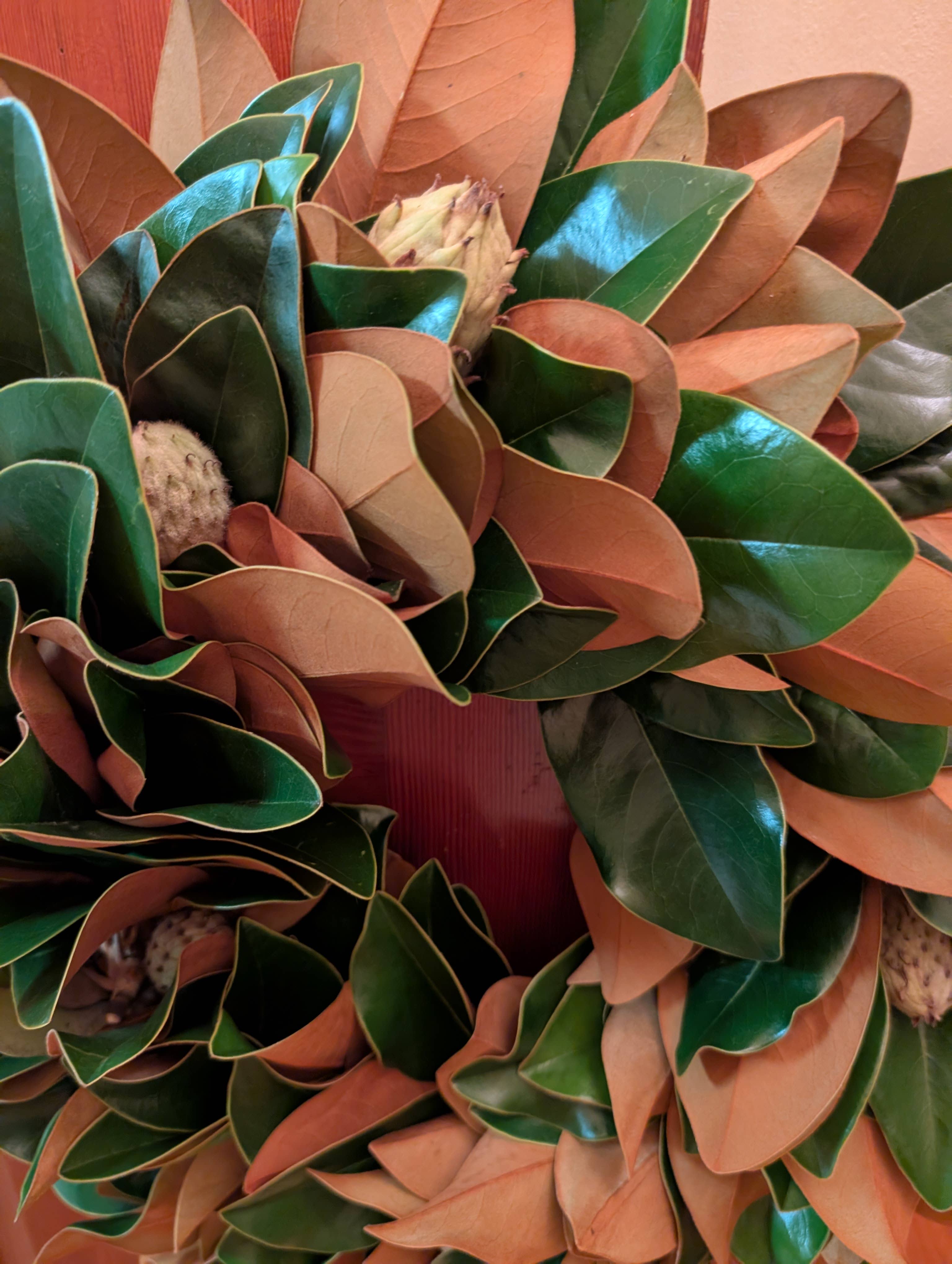 Lucknow Southern and Company - Wholesale Wreath - The Classic 30-inch Lucknow Southern Fresh Magnolia Wreath2