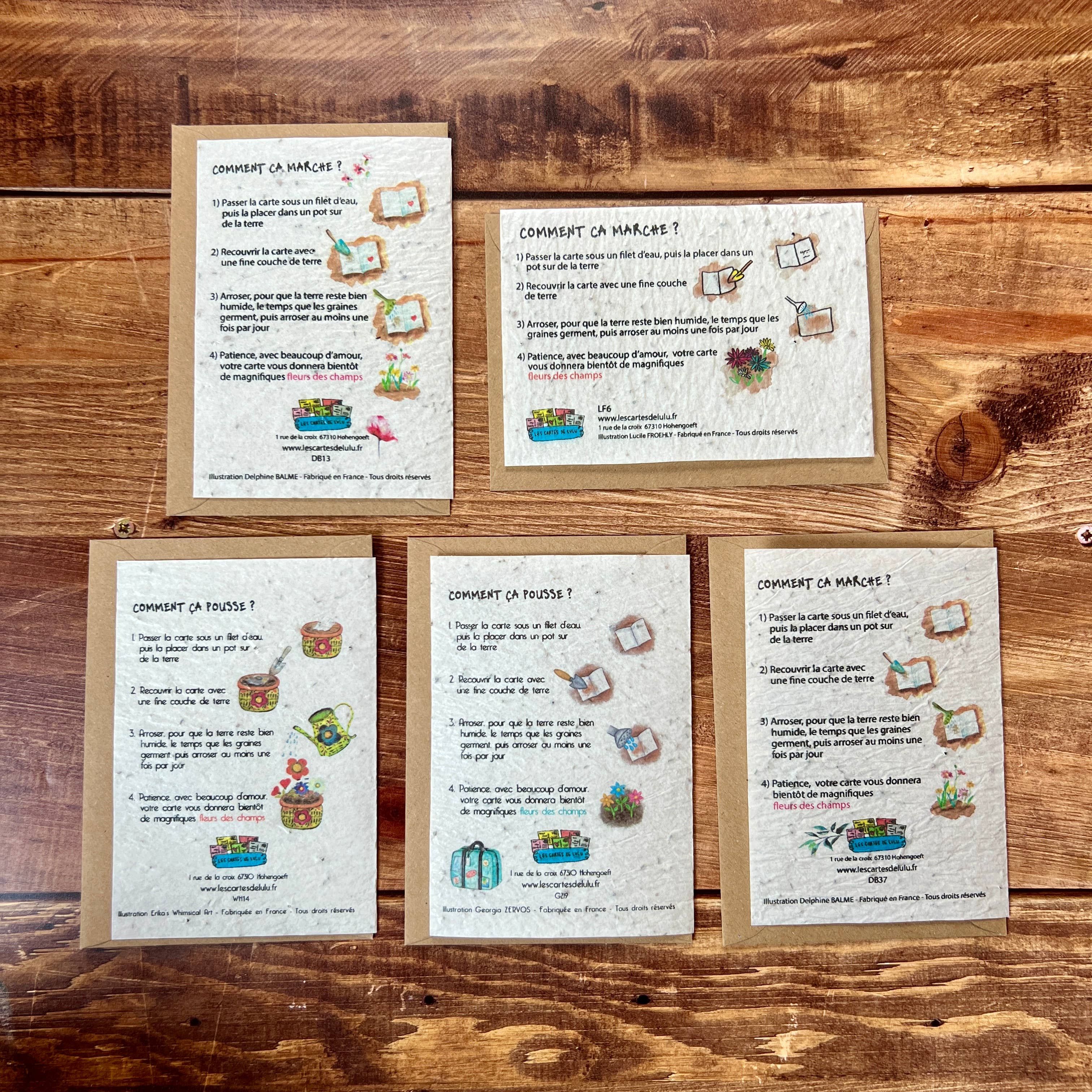 Les cartes de Lulu - Wholesale Gewone wenskaart - Kaarten voor alle gelegenheden: bruiloft, geboorte, pensioen3