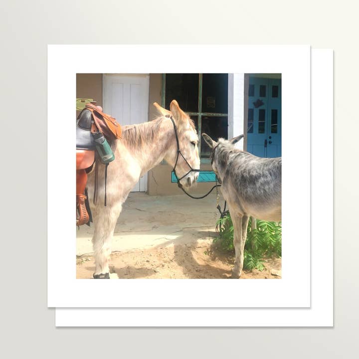 Donkey Friends Notecard for wholesale by Springamajig Press