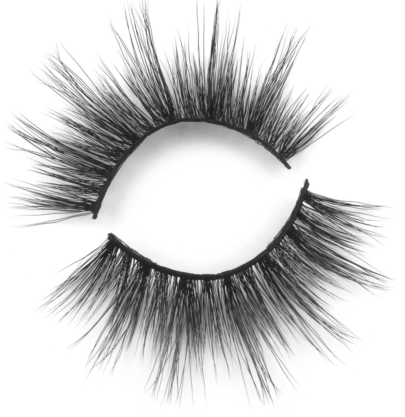 Ashley Kennedy - Wholesale False/Fake Eyelashes - LA Lash Kit3