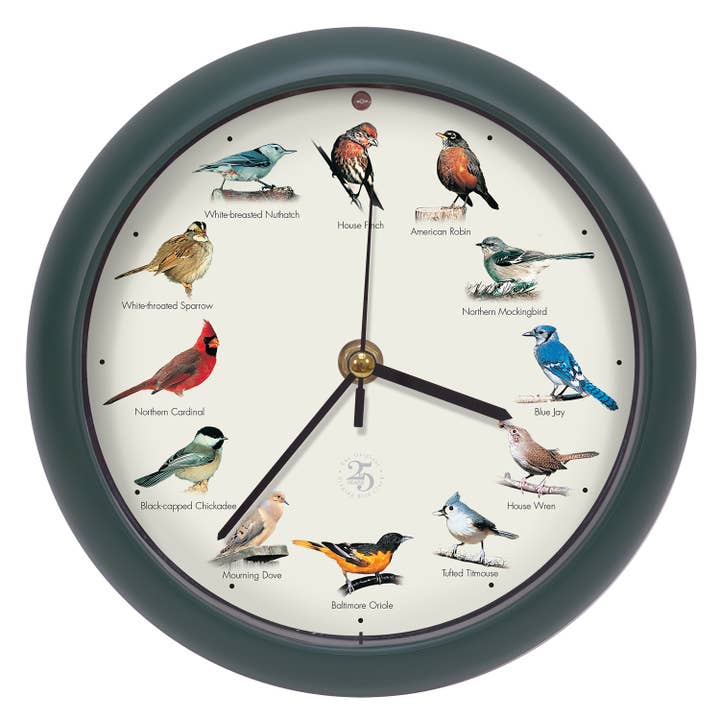 Mark Feldstein & Associates - Wholesale Wall Clock - 25th Anniversary Original Singing Bird Clock, 8 Inch, Green