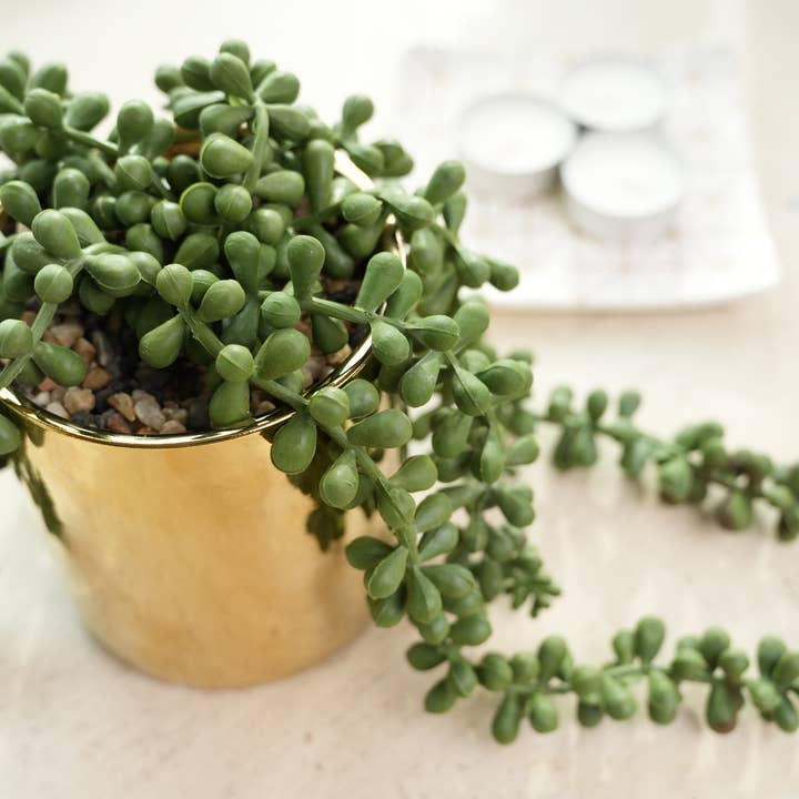 Flora Bunda Inc – Engroshandel Sukkulenter – Hængende kunstig sukkulent i skinnende guldfarvet potte4