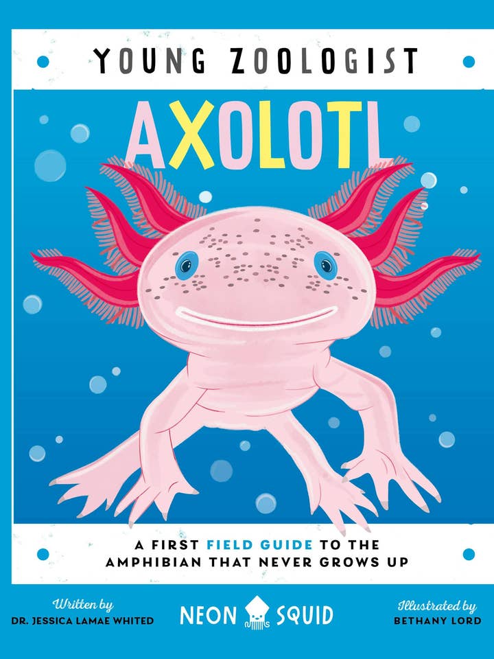 Axolotl: A Young Zoologist's First Field Guide for wholesale by Macmillan Publishers