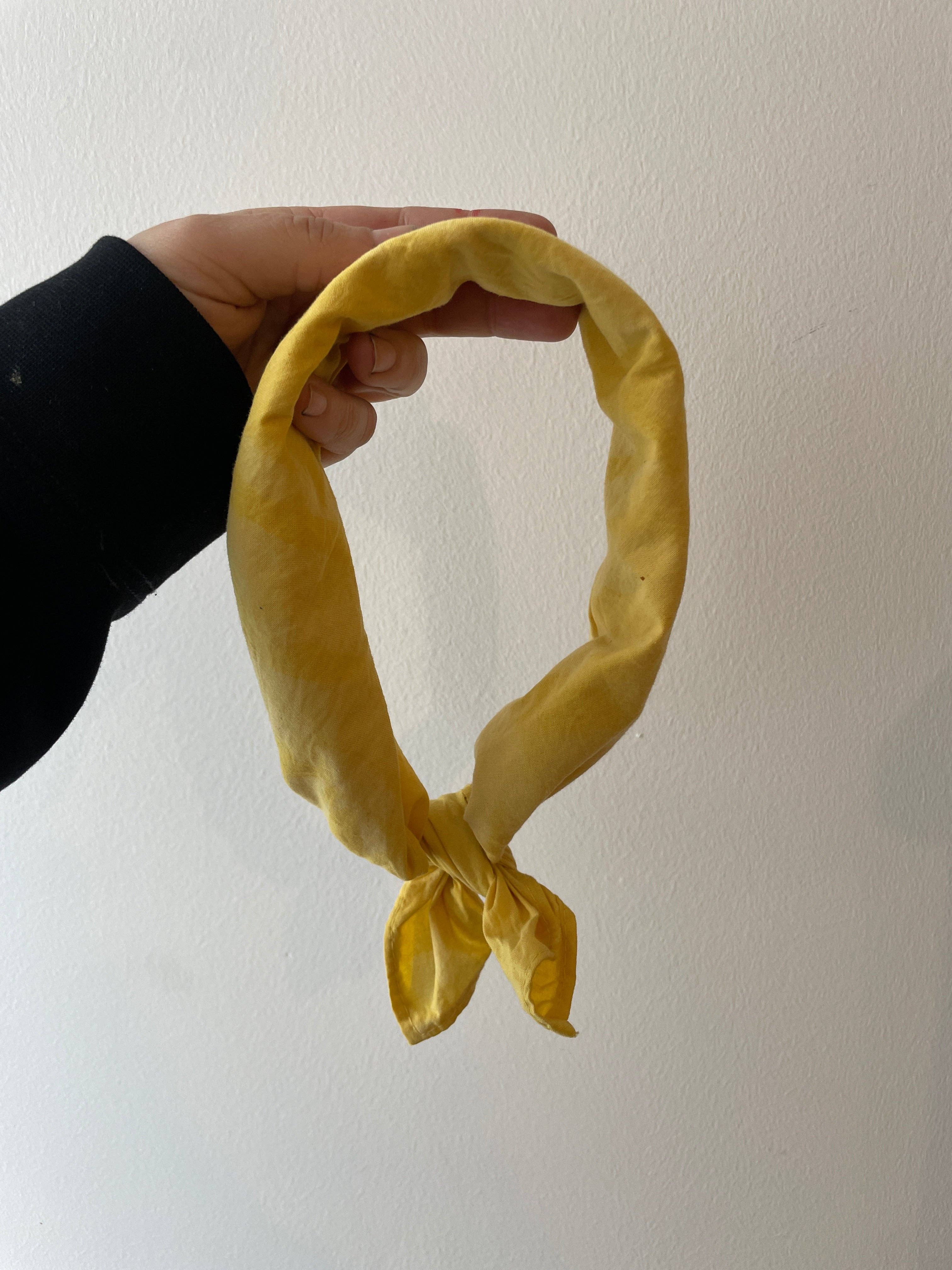 Rosemarine Textiles - Wholesale DIY Craft Kit - Osage Wood Dye Kit3