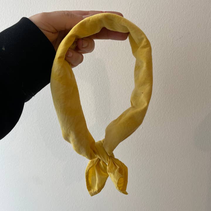 Rosemarine Textiles - Wholesale DIY Craft Kit - Osage Wood Dye Kit3