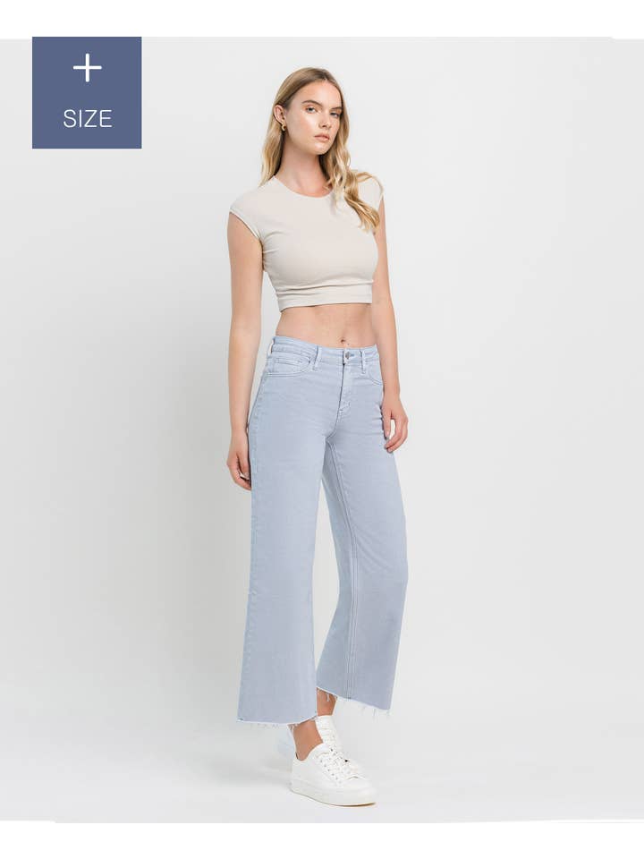 GRAY DAWN PLUS SIZE HIGH RISE CROP WIDE LEG JEANS T5872GRD-P for wholesale on Faire