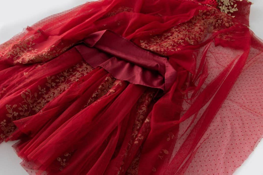 Productseeker – wholesale Gown – Women's – DR816L V-Neck Mesh Dress with Handmade Floral Embroidery10