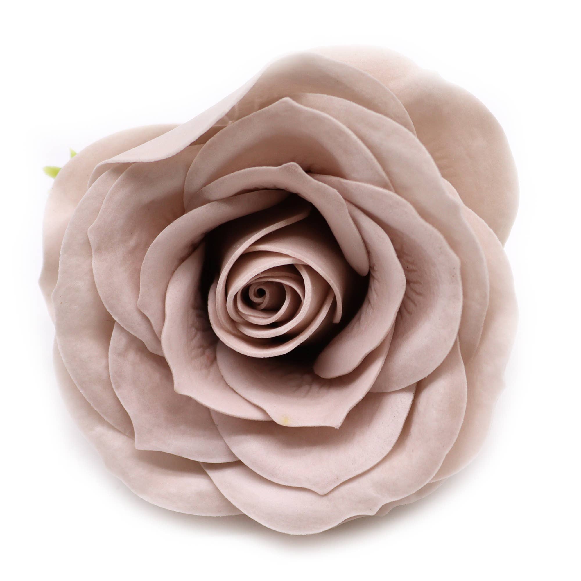 Ancient Wisdom – wholesale Artificial flowers – Lrg (7-Layer) Vintage Rose - Somersett Beige2