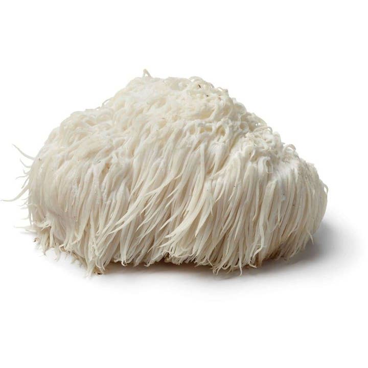 Wild Foods - Wholesale Protein/Superfood Powder - Shroom #4 Lion's Mane Mushroom Extract Case of 12