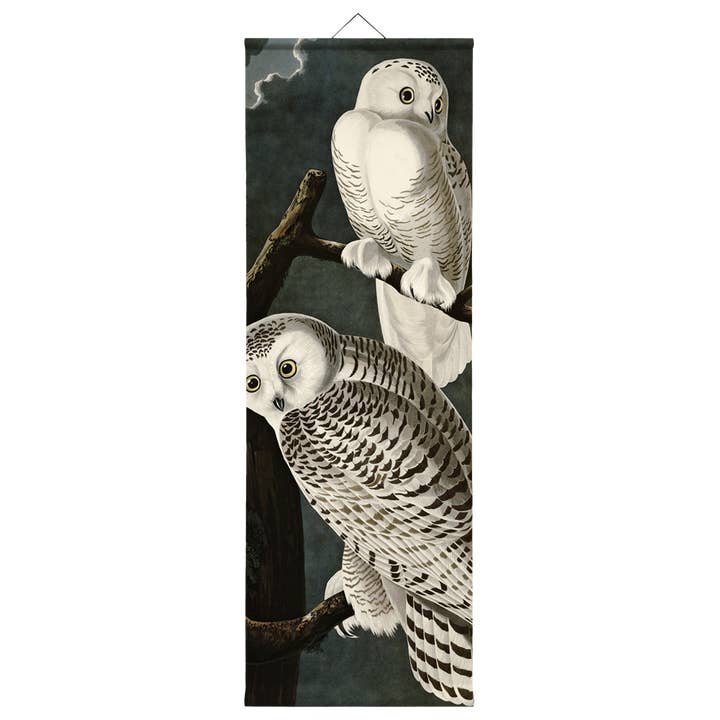 Eicie - Wholesale Art Print - Kakemono #051 Audubon Snowy Owl