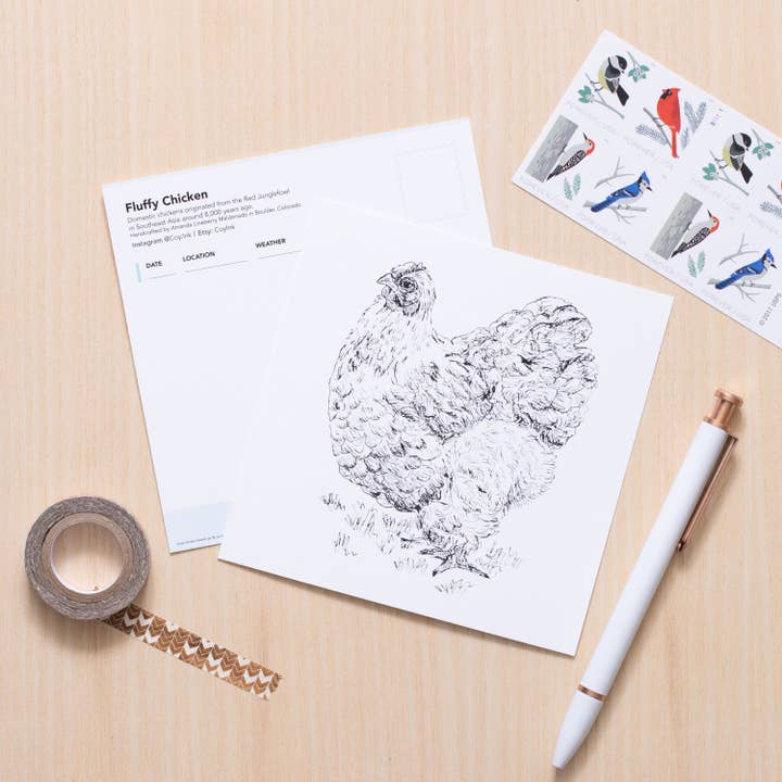 Fluffy Chicken Art for wholesale by Coy Ink Studio
