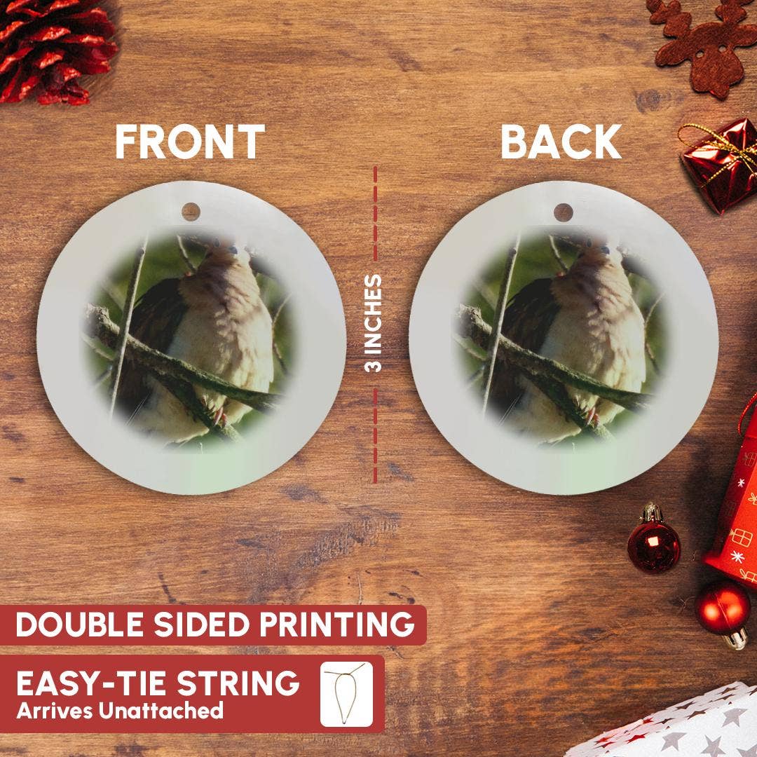 3dRose - Wholesale Ornament - 3dRose, Morning Dove , Ornament2