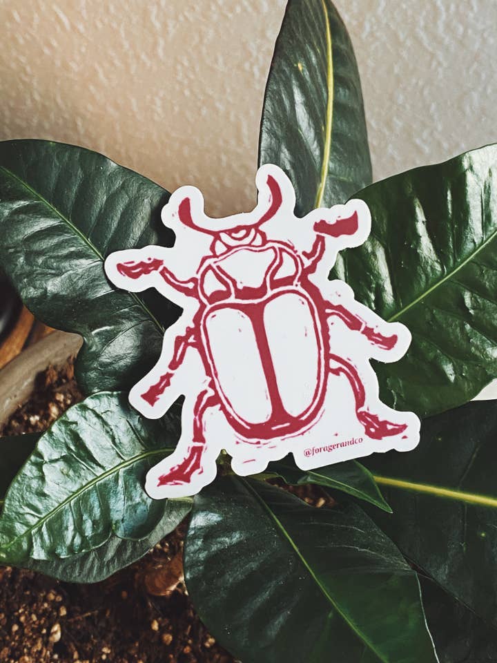 Desert Beetle Mini Decal Sticker for wholesale by Forager & Co