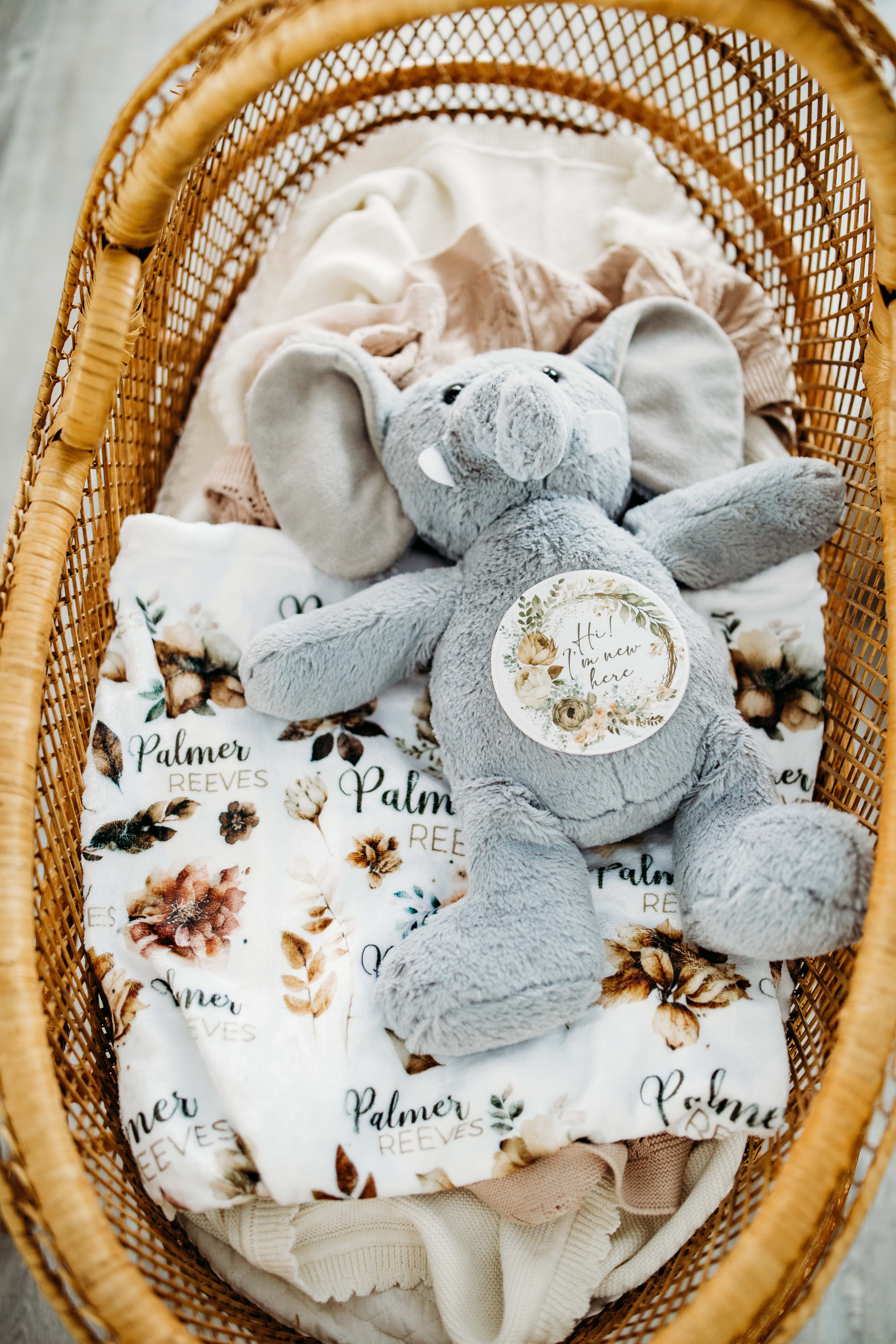 Grow With Me Baby Co - Wholesale Stuffed/Plush Toy - Kids & Baby - Baby Monthly Milestones, Elephant Stuffed Animal5