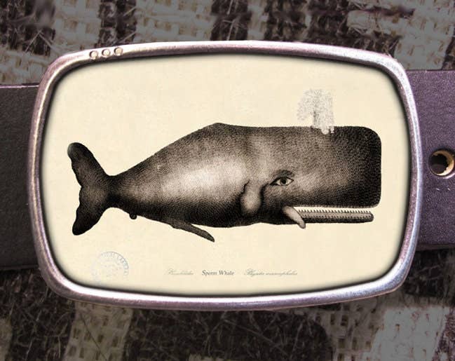 Regan Flegan - Wholesale Belt Buckle - Unisex - Sperm Whale Belt Buckle0