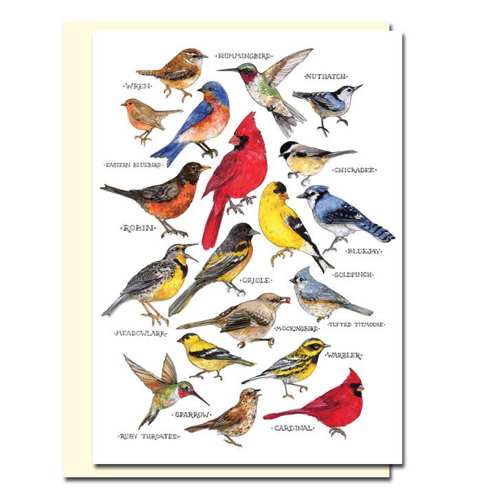 Songbirds Blank Card for wholesale by Allport Editions