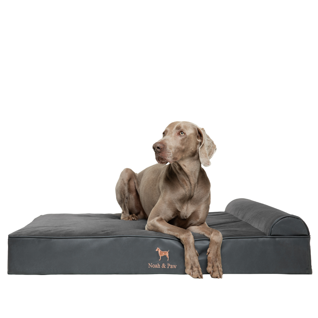 NOAH AND PAW LLC – Großhandel Haustierbett – Katze/Hund – Orthopädisches Hundebett aus Kunstleder mit Memory-Schaum und kühlendem Gel, klassischer Stil3