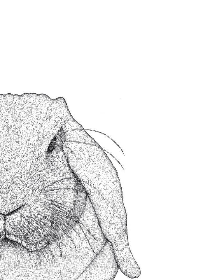 Rebekah the Rabbit for wholesale by Dots by Donna