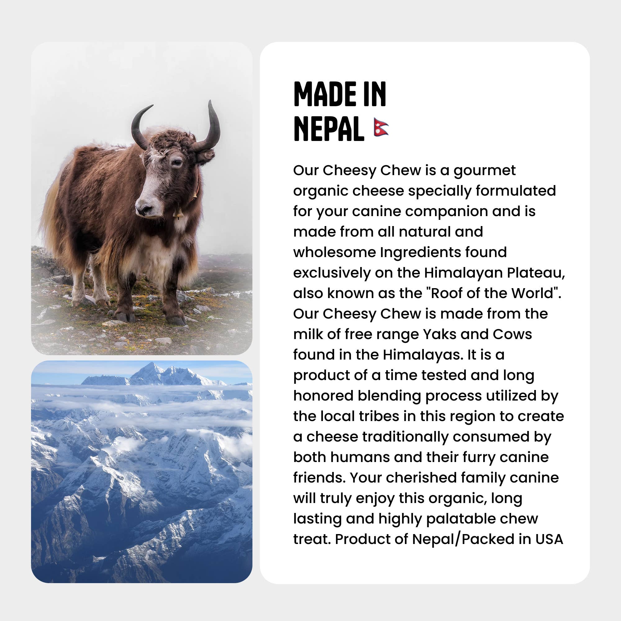 PetYupp - Wholesale Pet Treats - Dog - Himalayan Gourmet Cheese Chew Pumpkin  - Pack of 1  - 3.5 0z6