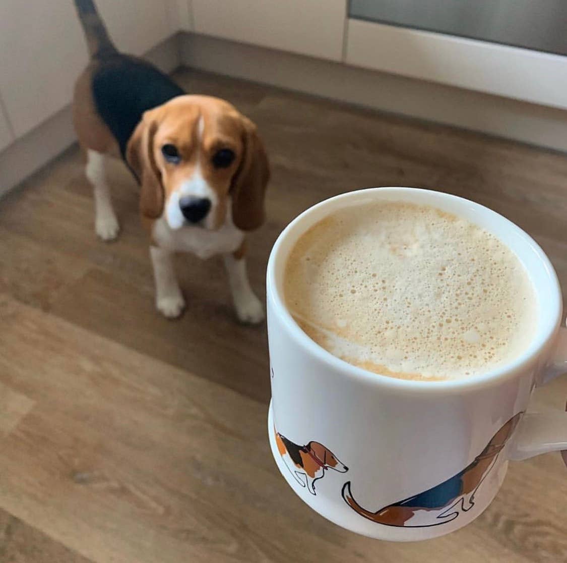 Sweet William Designs - Wholesale Coffee Mug - Mischievous Mutts Dog Mug - Beagle3